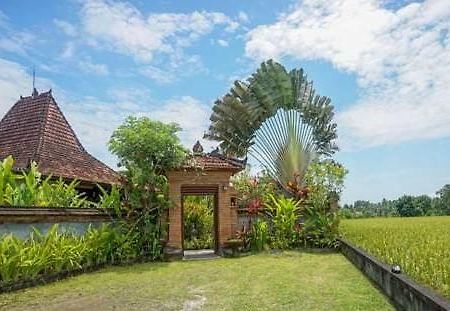 Rumah Sungai Villa Ubud Kültér fotó