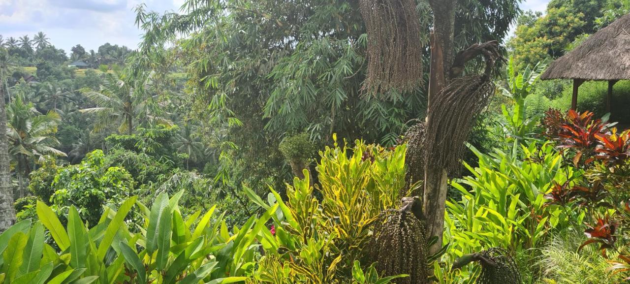 Rumah Sungai Villa Ubud Kültér fotó