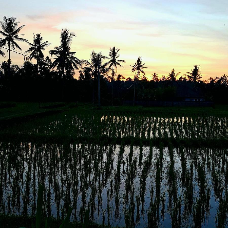 Rumah Sungai Villa Ubud Kültér fotó