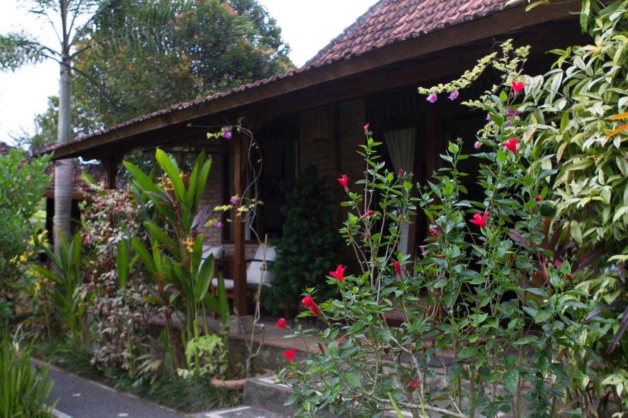 Rumah Sungai Villa Ubud Kültér fotó