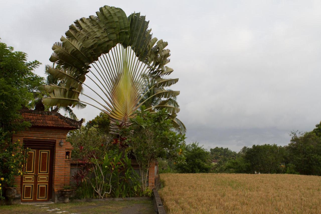 Rumah Sungai Villa Ubud Kültér fotó