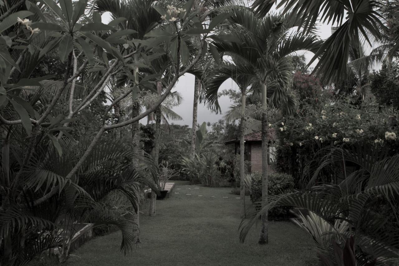 Rumah Sungai Villa Ubud Kültér fotó