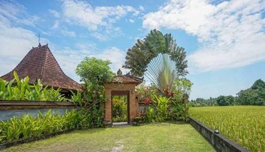 Rumah Sungai Villa Ubud Kültér fotó
