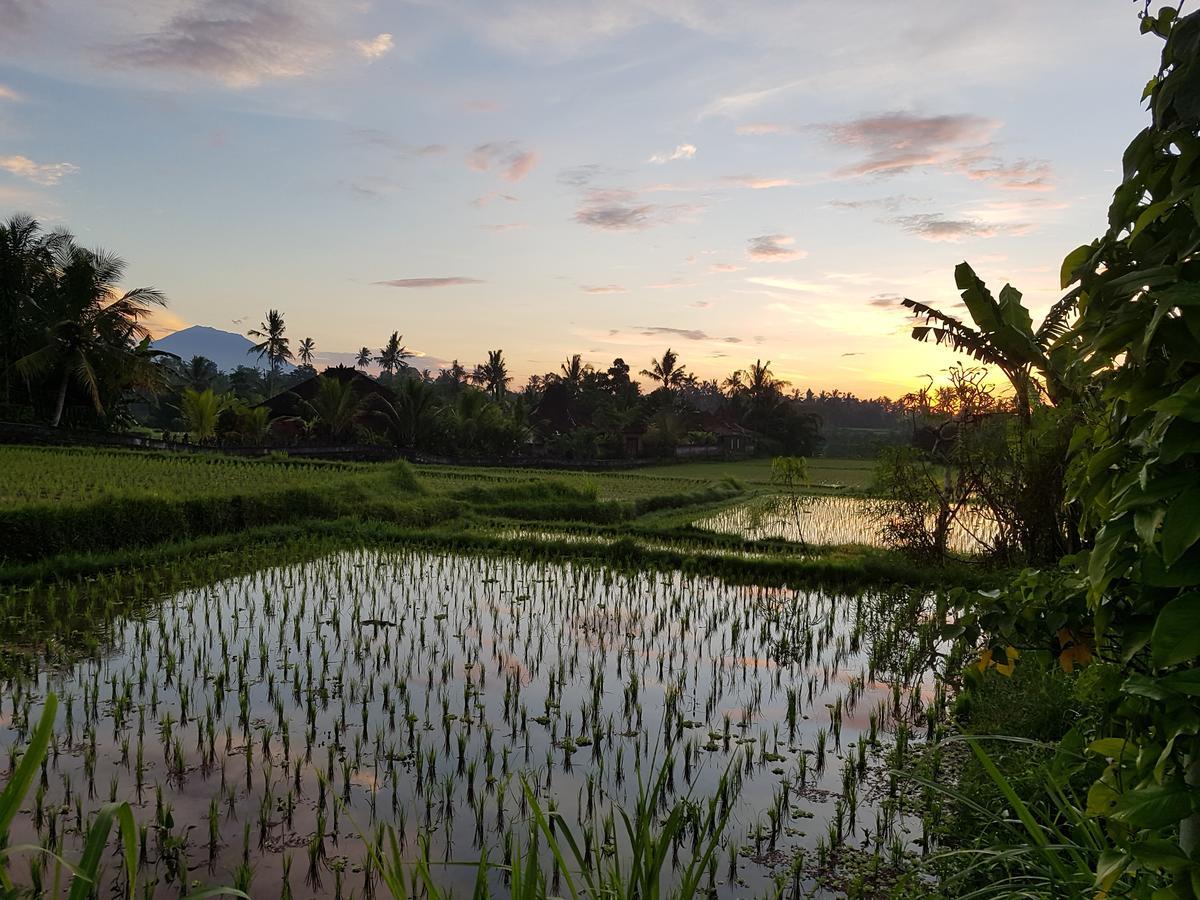 Rumah Sungai Villa Ubud Kültér fotó