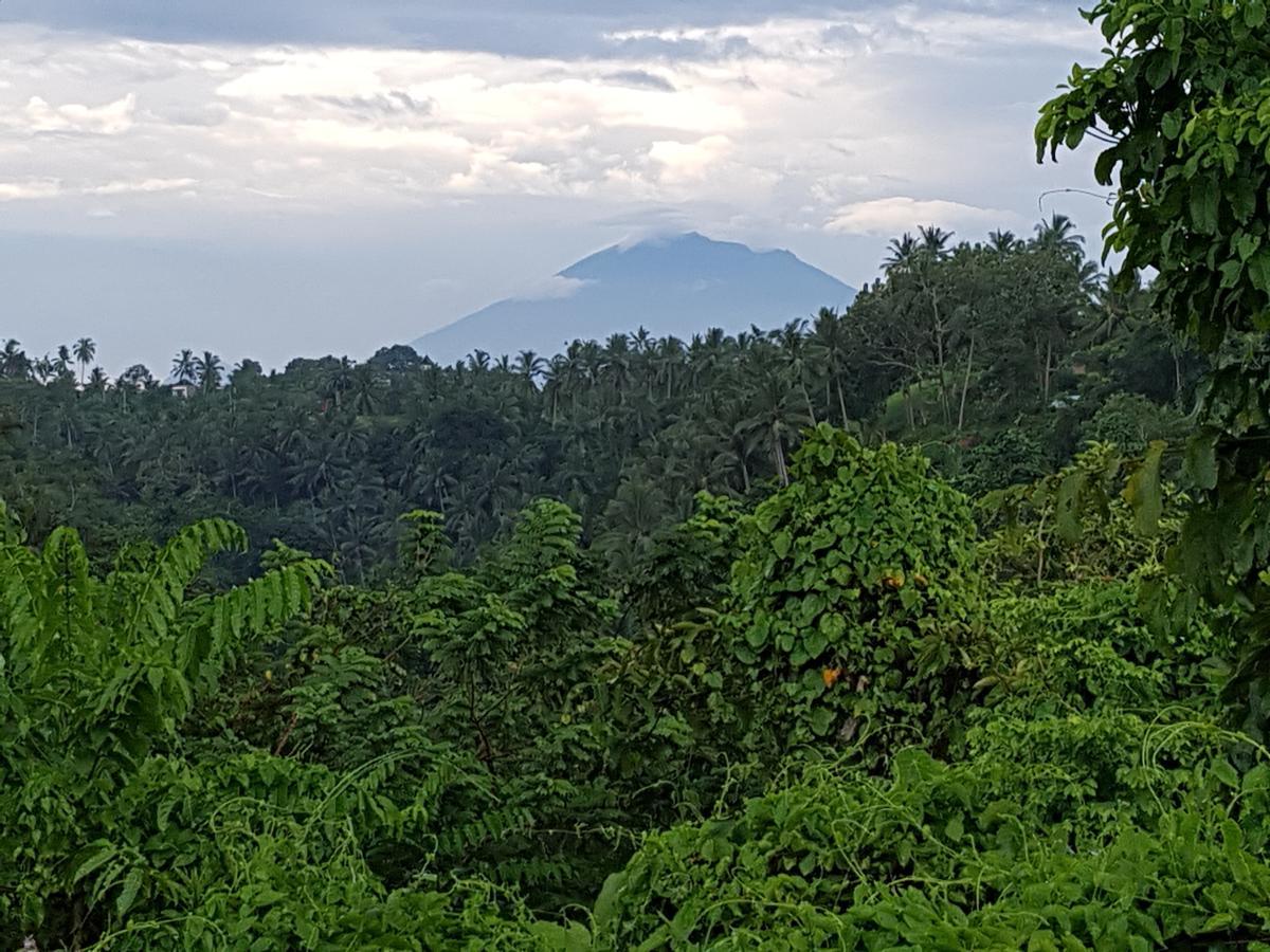 Rumah Sungai Villa Ubud Kültér fotó