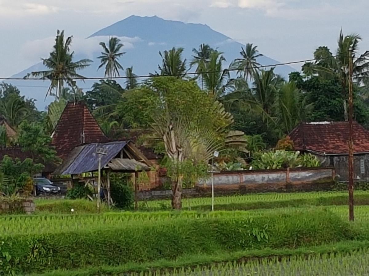 Rumah Sungai Villa Ubud Kültér fotó