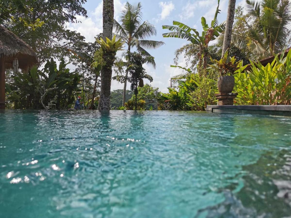 Rumah Sungai Villa Ubud Kültér fotó
