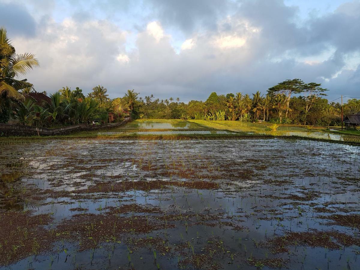 Rumah Sungai Villa Ubud Kültér fotó