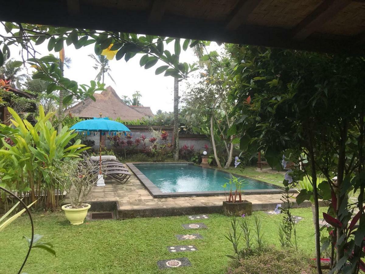 Rumah Sungai Villa Ubud Kültér fotó